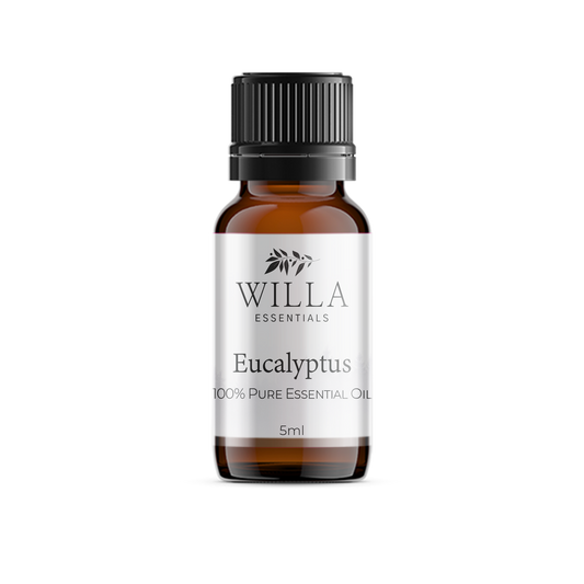 Eucalyptus Essential Oil